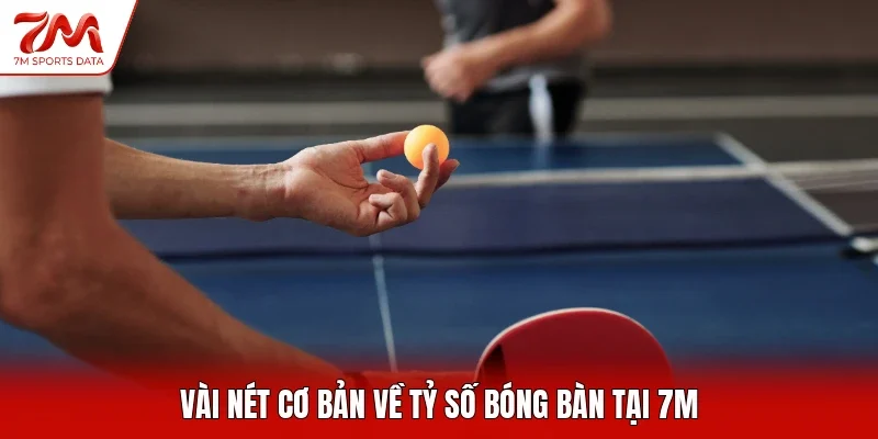 Vài nét cơ bản về tỷ số bóng bàn tại 7M